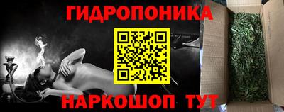 прущие грибы Ипатово