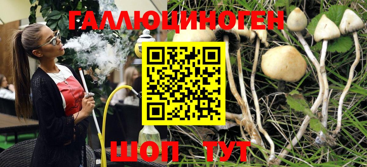 Луга  цены   Вход с VPN  Галлюциногенные грибы GOLDEN TEACHER 