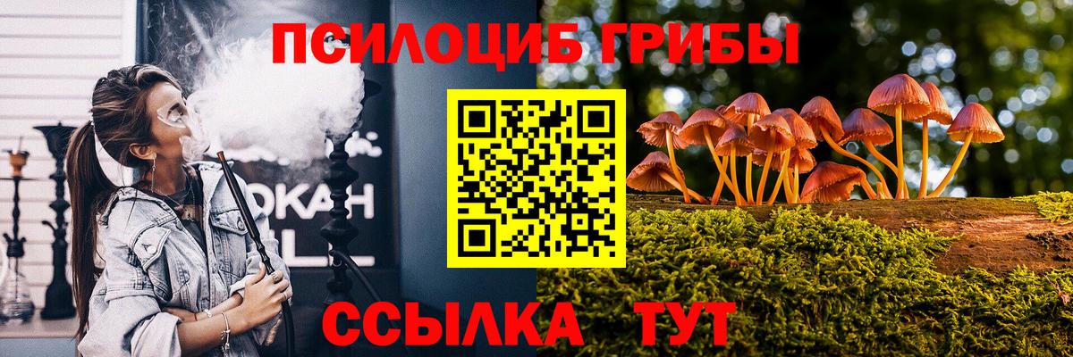 Псилоцибиновые грибы Psilocybine cubensis Луга